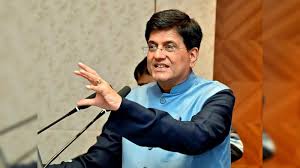 Piyush Goyal Expresses Gratitude During Phase 5 Lok Sabha Voting